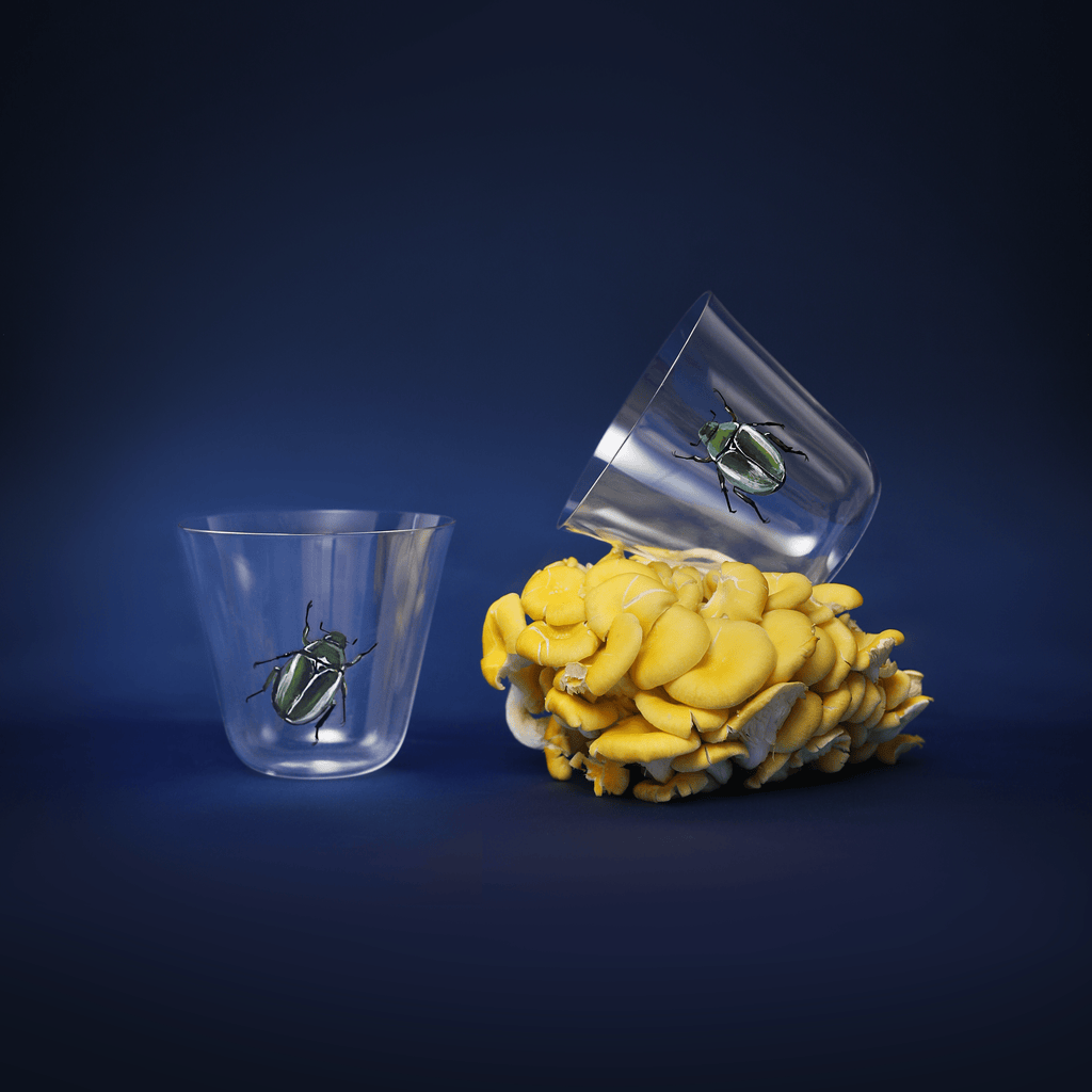 Beetle Glasses | Hand Painted Set of Two - Motte Studio