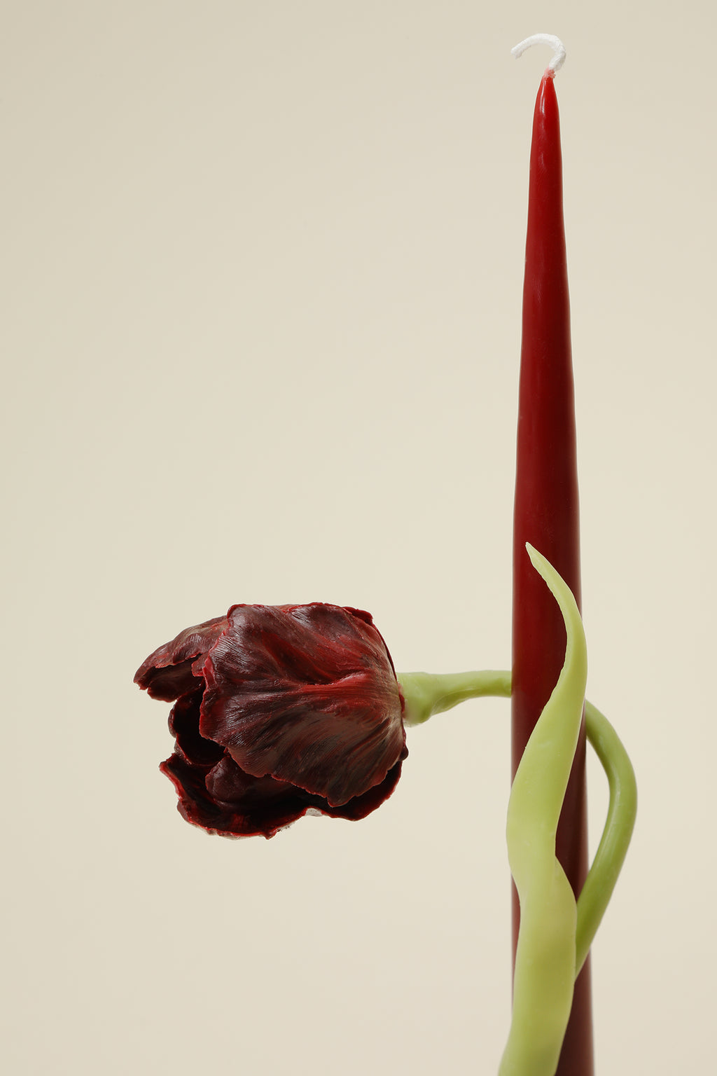 Wine Tulip Taper Candle - Motte Studio