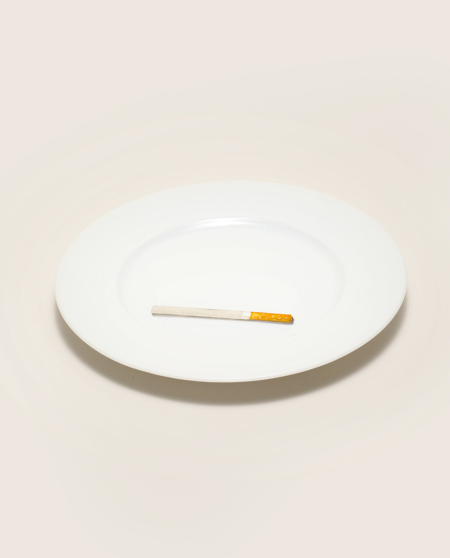 Smoke Break Hand Painted Porcelain Plate Set - Motte Studio