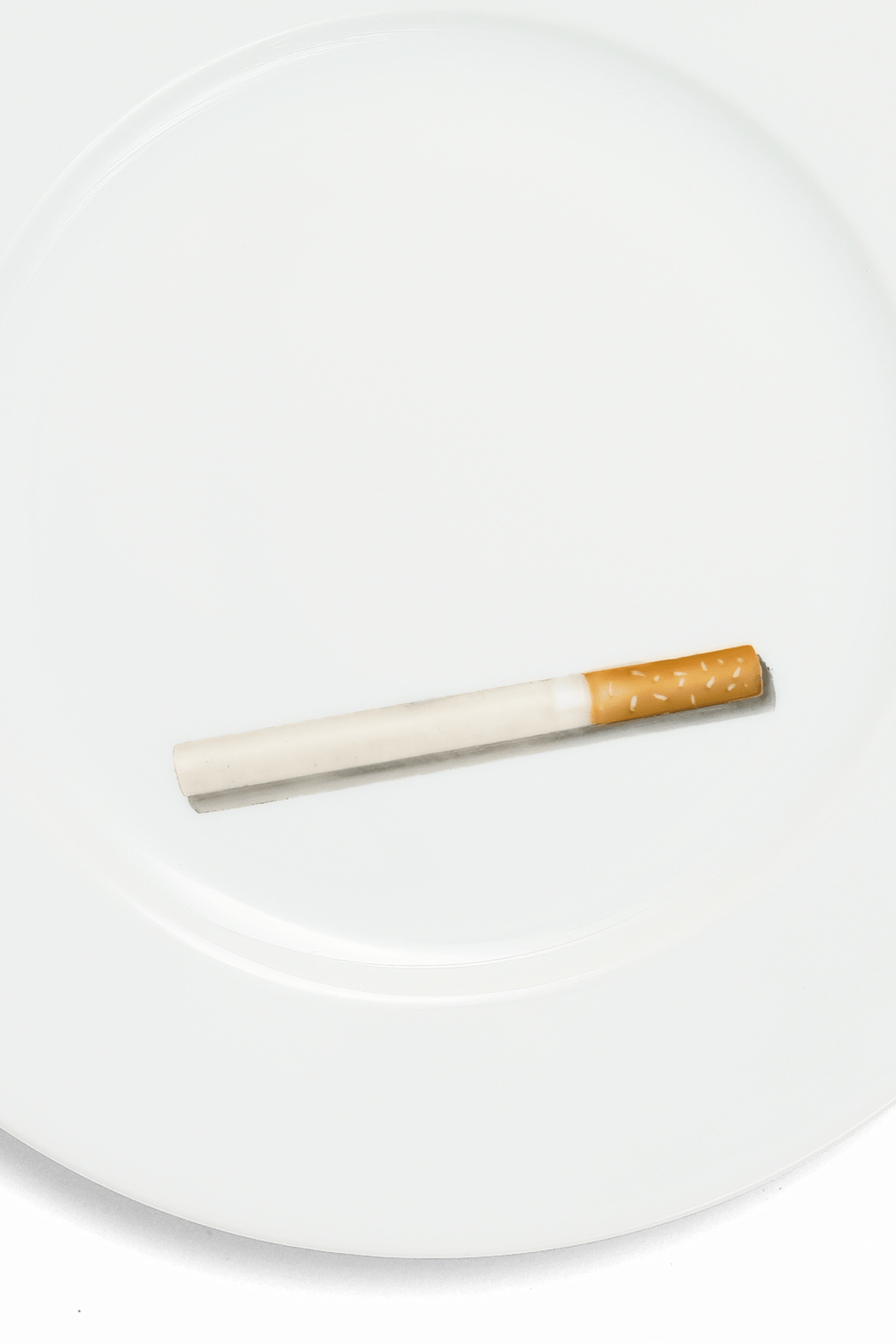 Smoke Break | Hand Painted Dessert Plate Set - Motte Studio