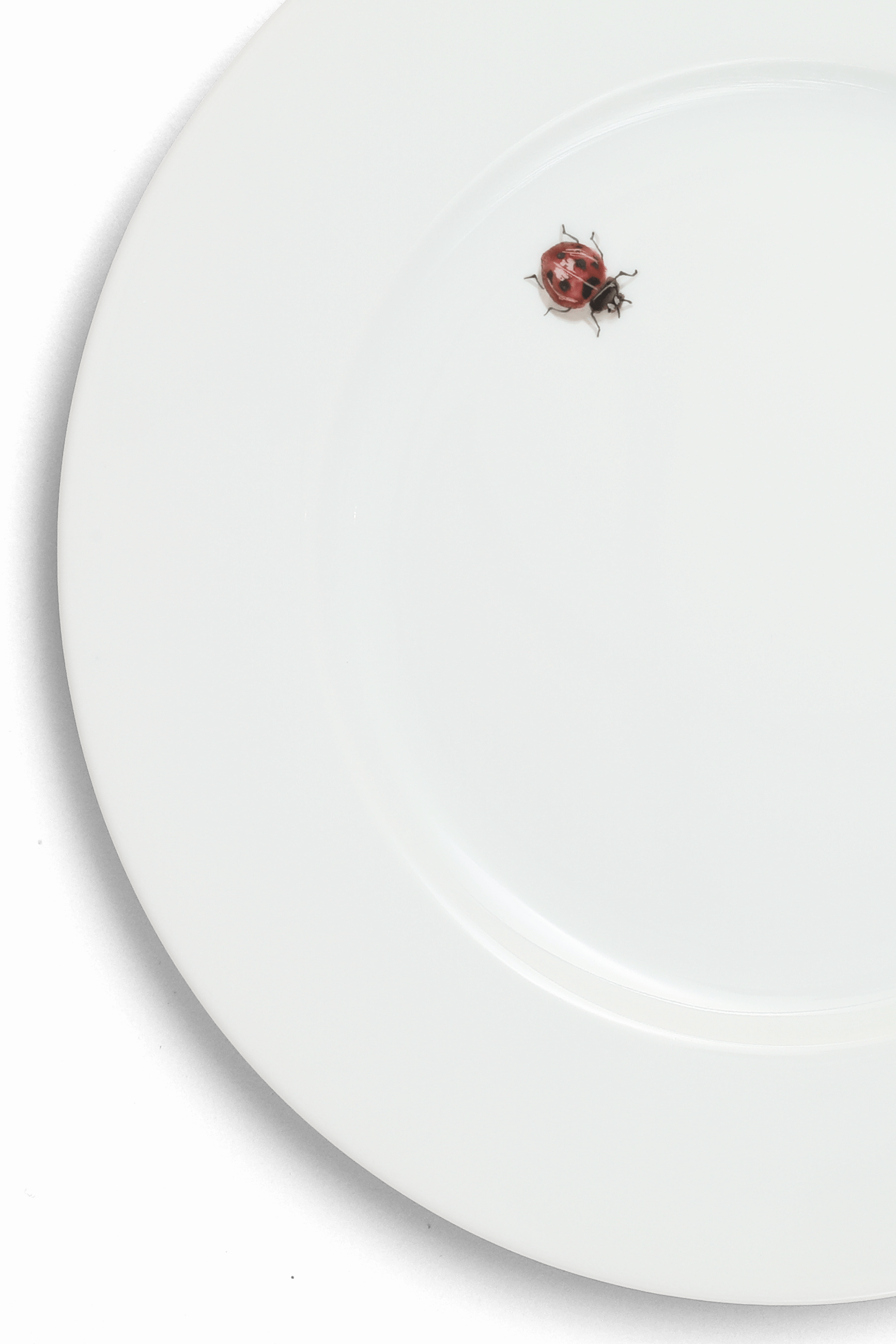 Lucky Charm | Hand Painted Dessert Plate Set - Motte Studio