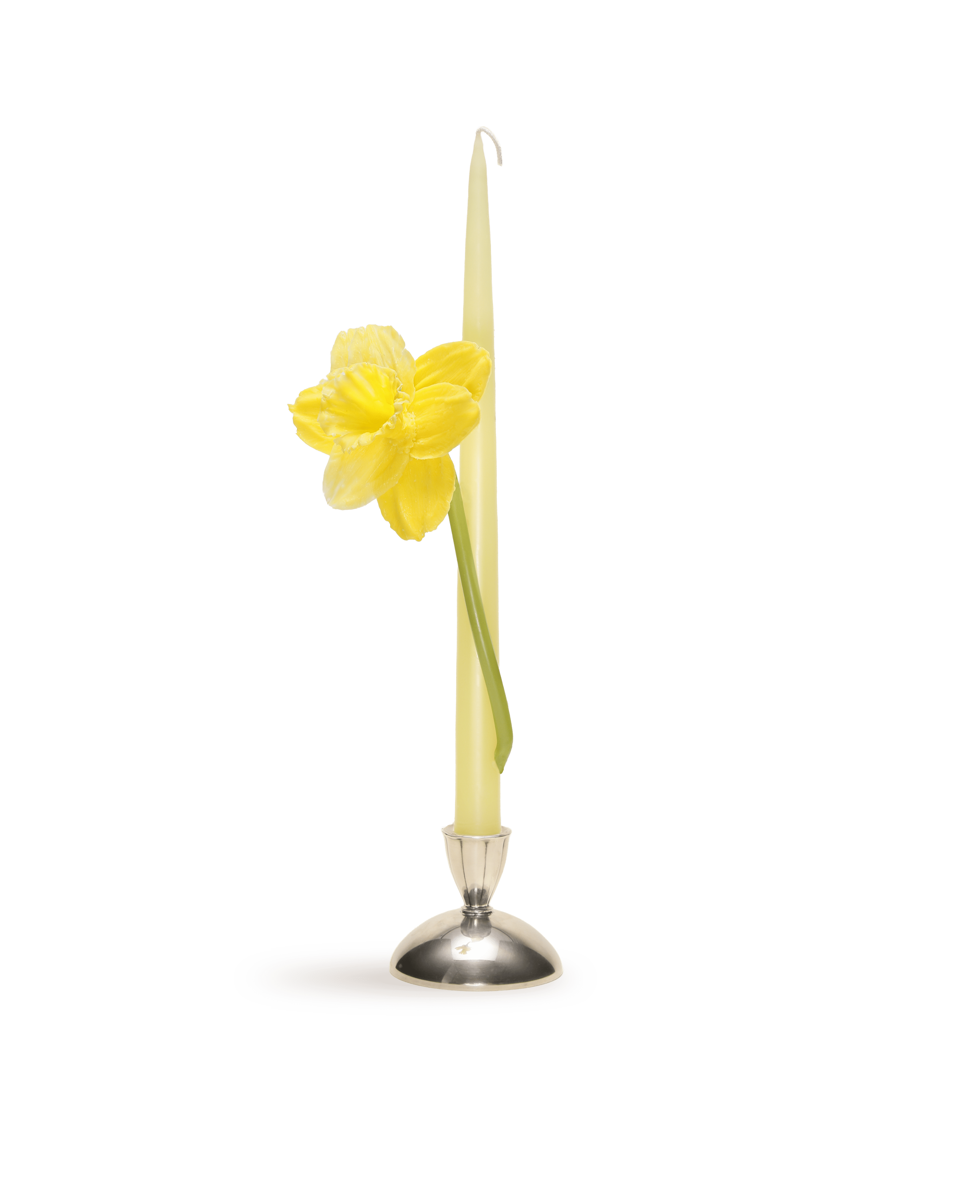 Yellow Daffodil Taper Candle - Motte Studio