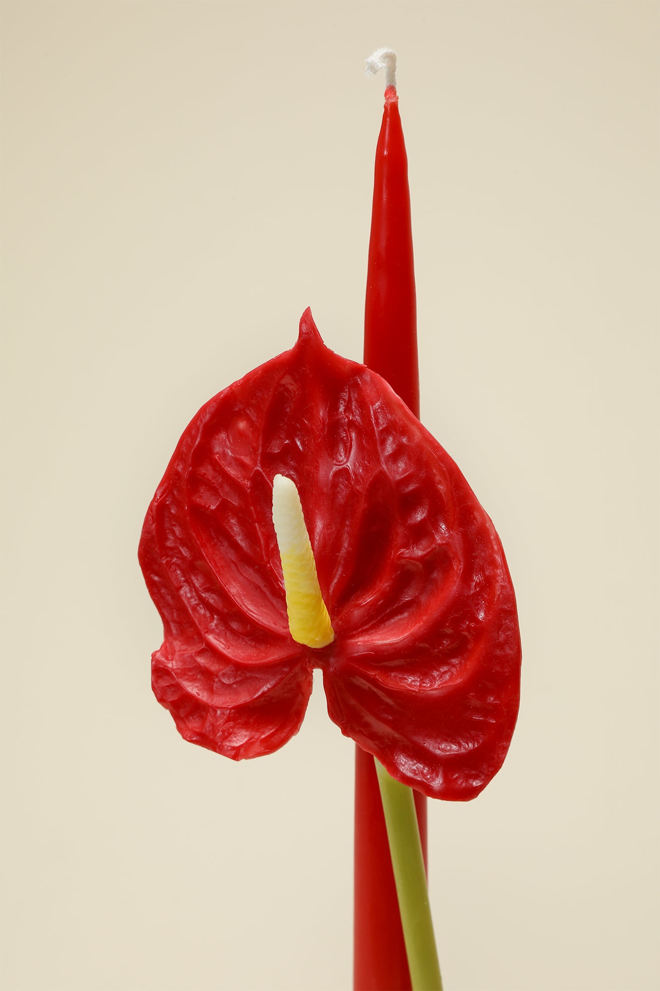 Anthurium Taper Candle - Motte Studio