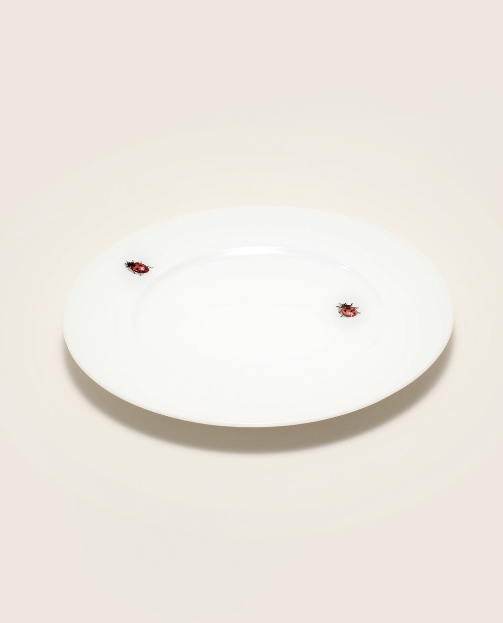 Lucky Day Hand Painted Porcelain Plate Set - Motte Studio