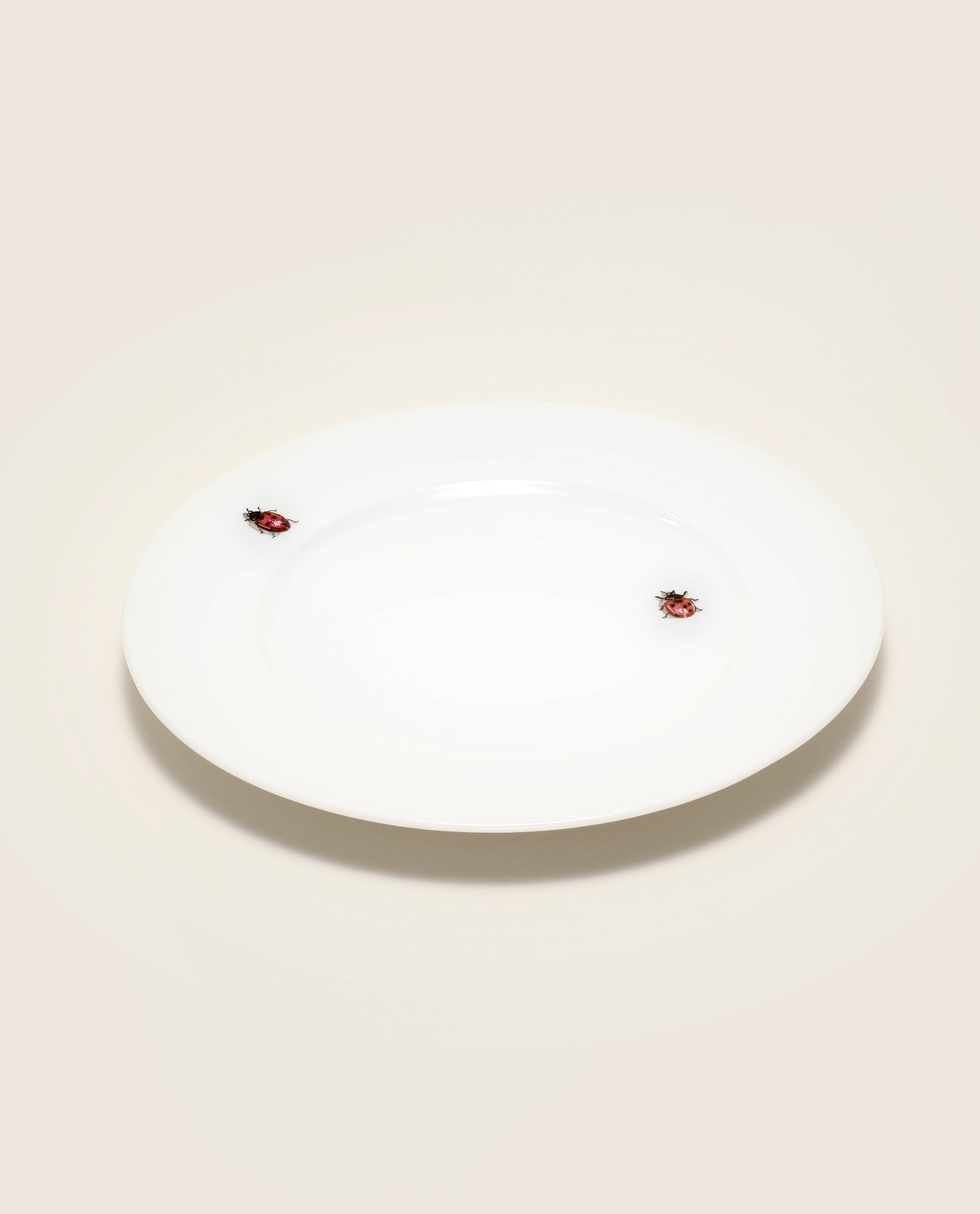 Lucky Day Hand Painted Porcelain Plate Set - Motte Studio