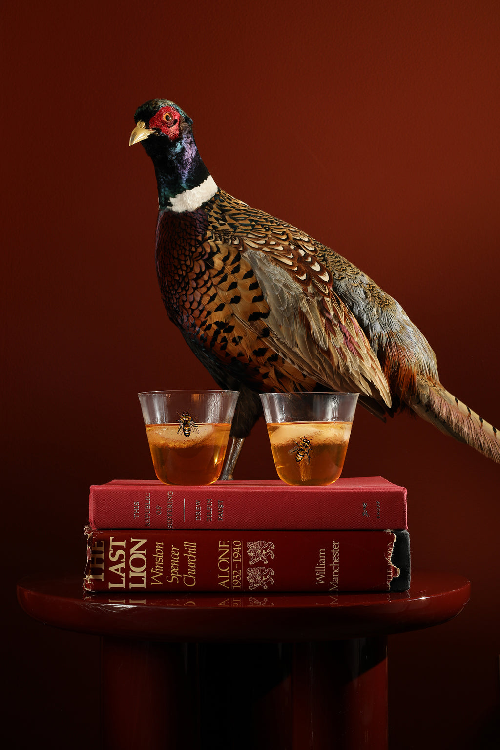 Bee Glasses - Motte Studio