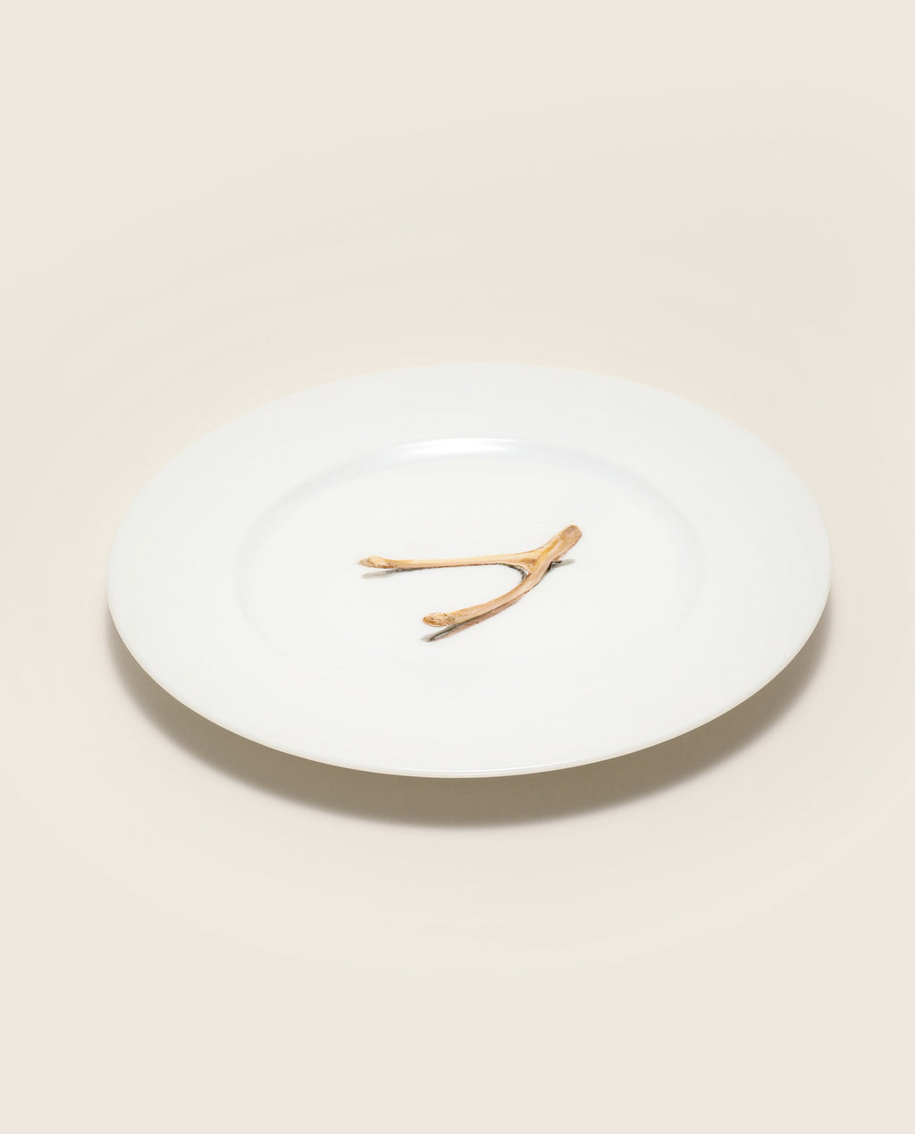 Make a Wish Hand Painted Porcelain Plate Set - Motte Studio