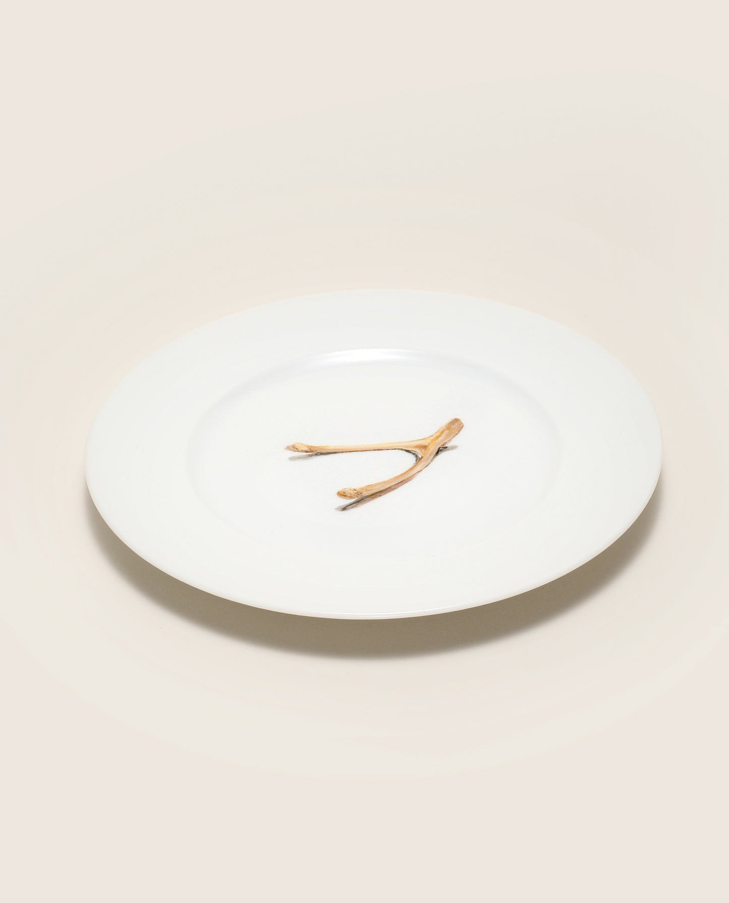 Make a Wish Hand Painted Porcelain Plate Set - Motte Studio