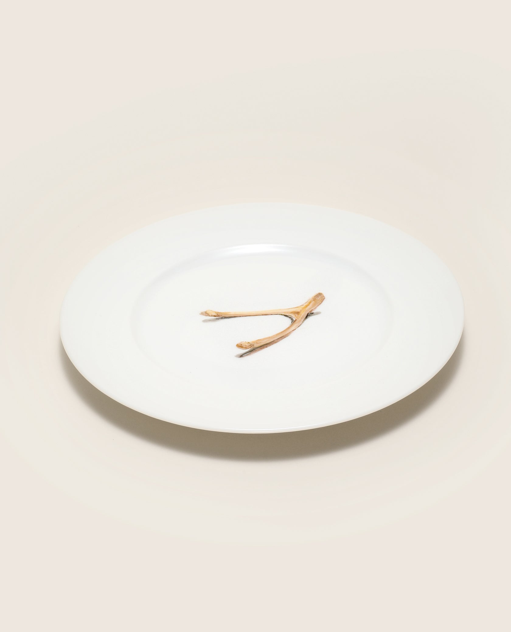 Make a Wish Hand Painted Porcelain Plate Set - Motte Studio